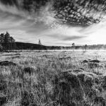 Herbststimmung nahe Arjeplog, Schweden