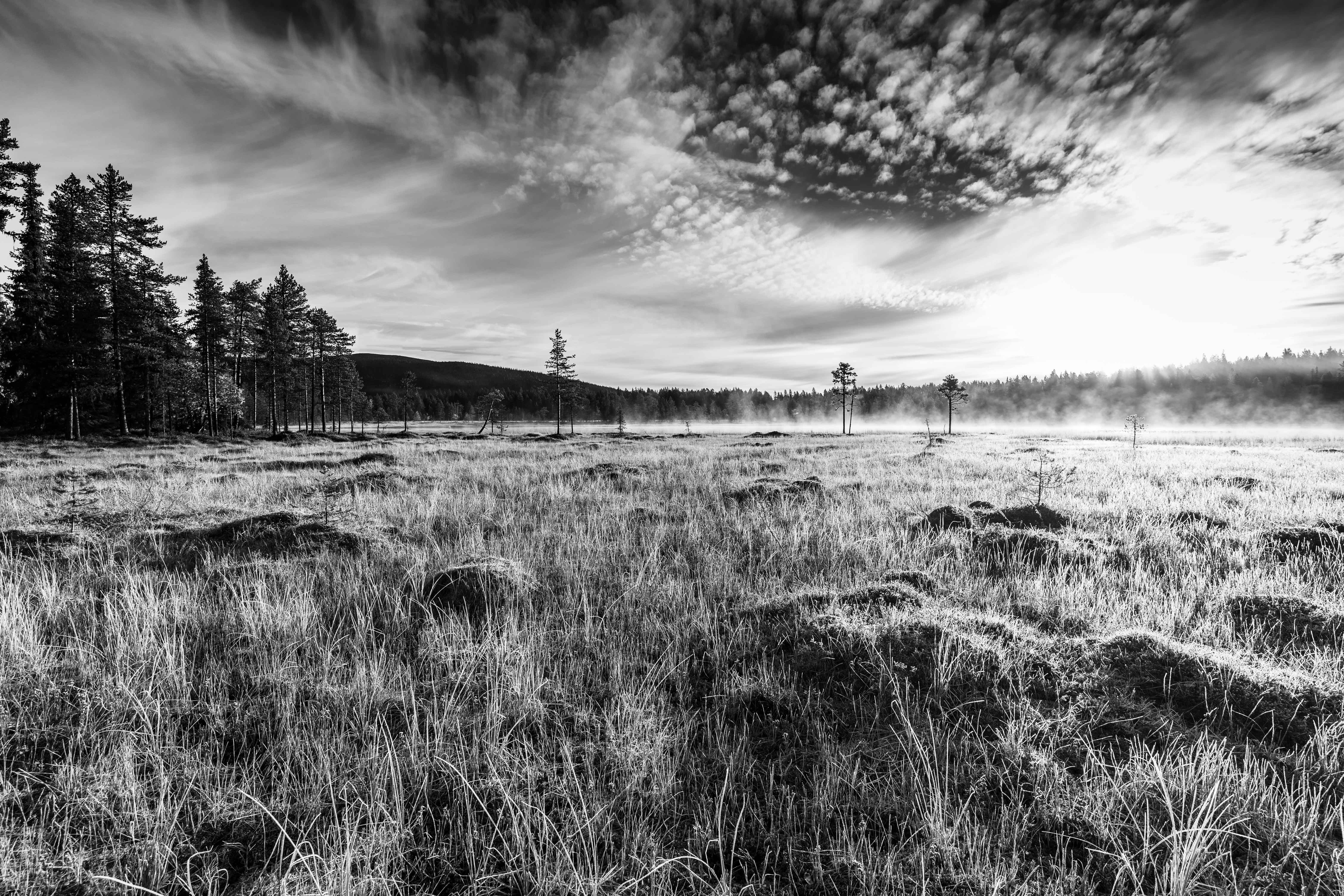 Herbststimmung nahe Arjeplog, Schweden