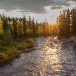 Frühsommerlicher Sonnenuntergang bei Glommersträsk, Norrbotten