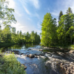 Der sommerliche Fluss Rickleån bei Överklintons Kvarn, Väster