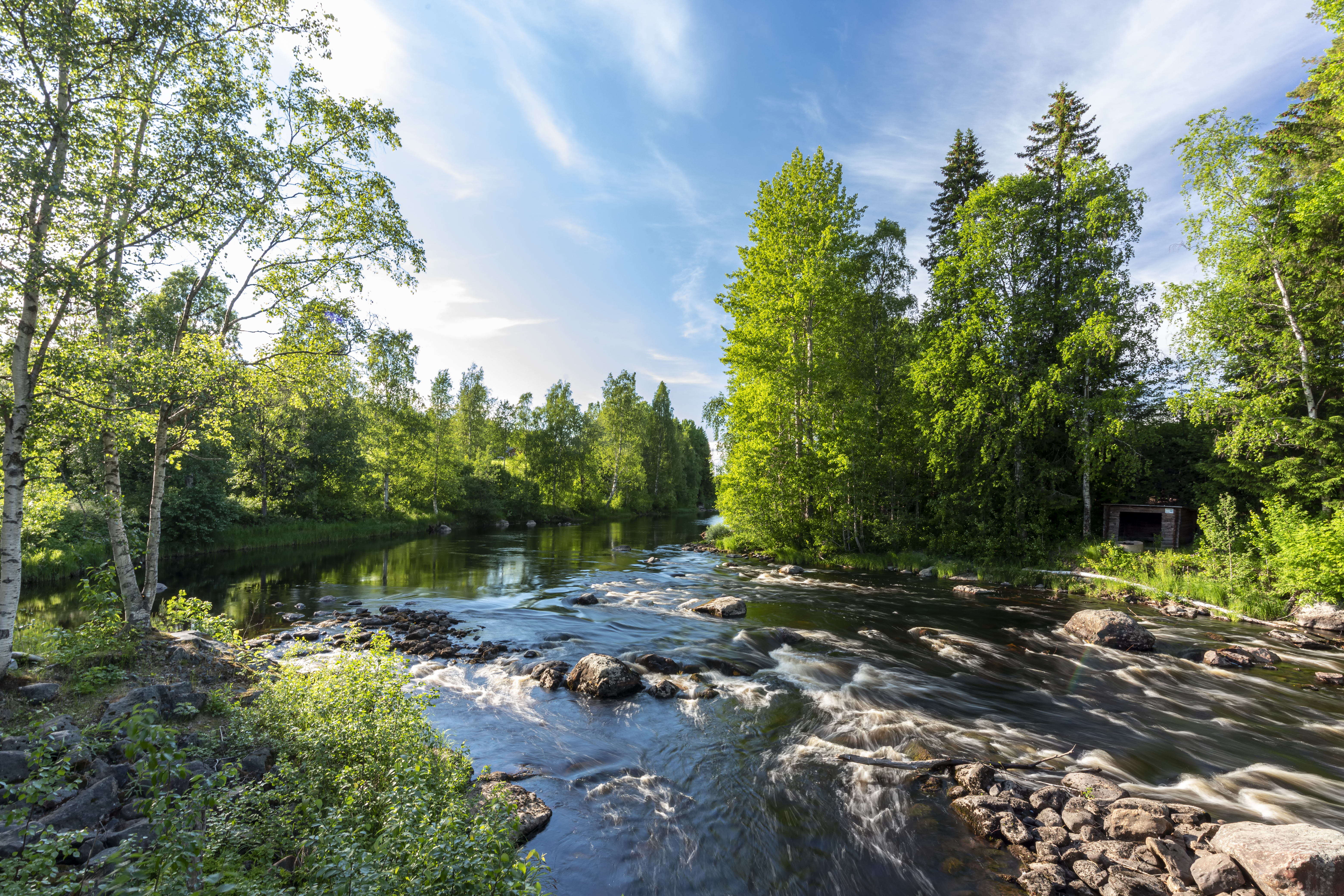 Der sommerliche Fluss Rickleån bei Överklintons Kvarn, Väster