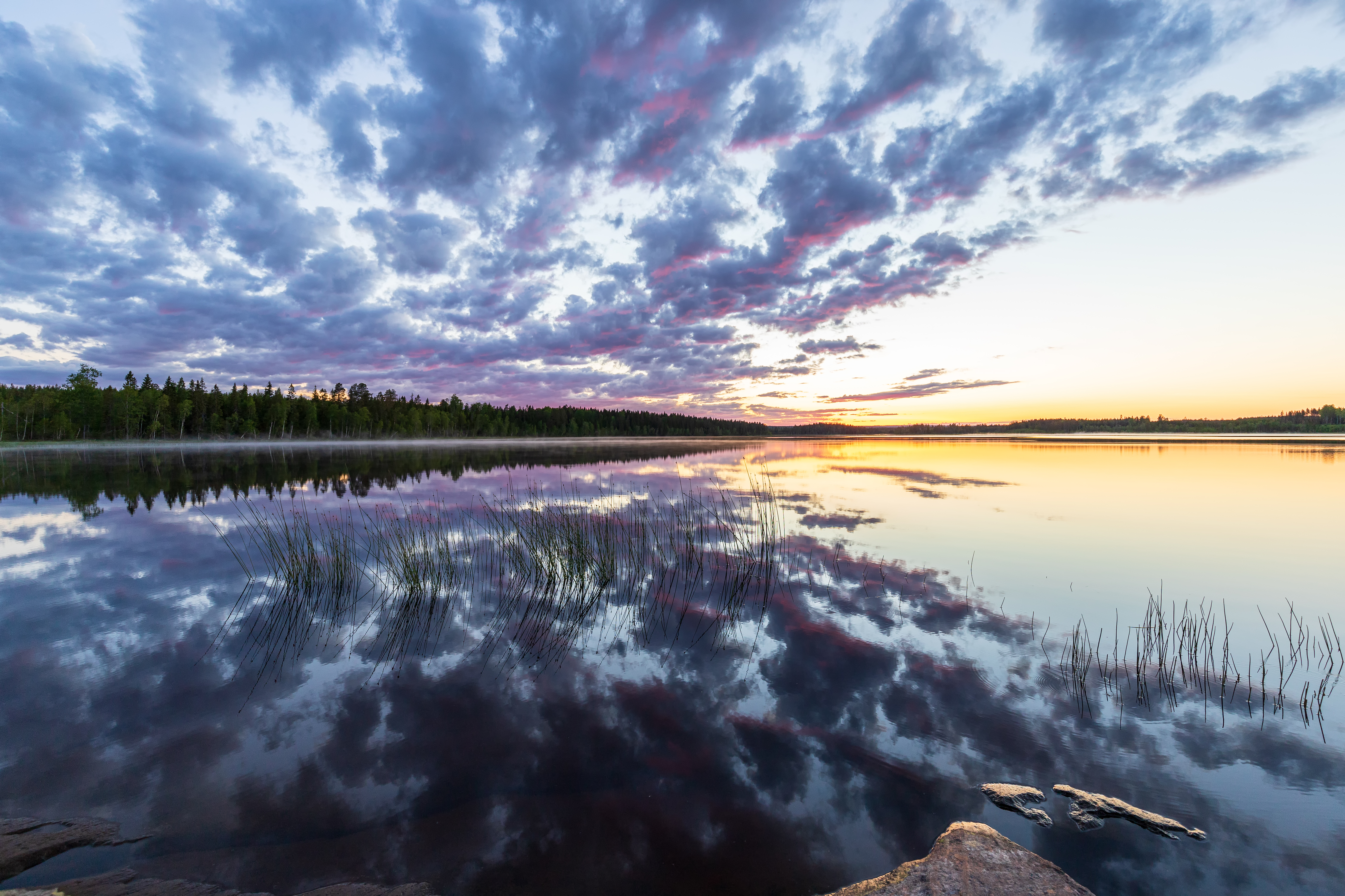 Mitternachtssonne am See Östersjön bei Hörnefors, Västerbott