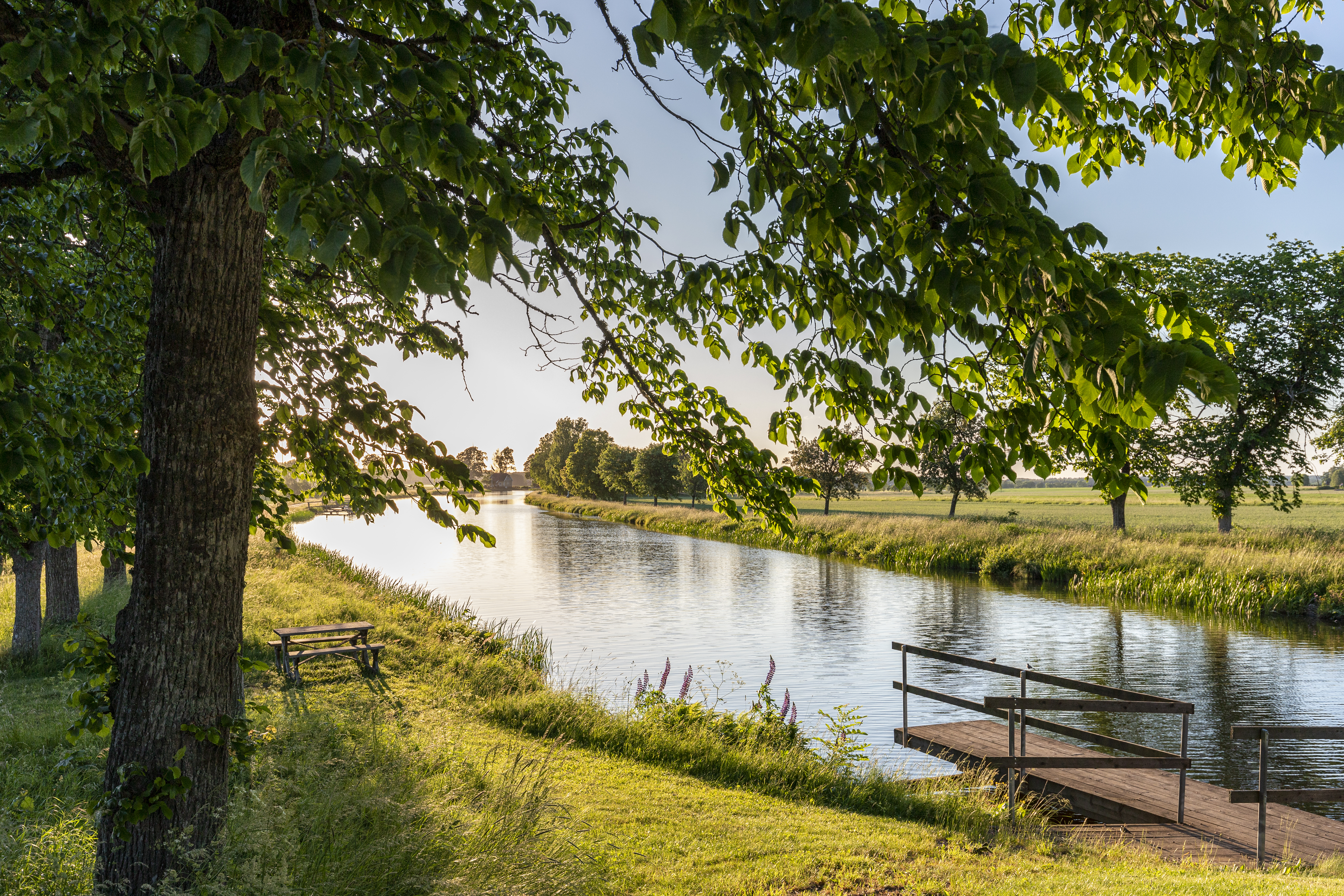 Göta-Kanal im sommerlichen Abendlicht bei Riksberg, Västra Gö