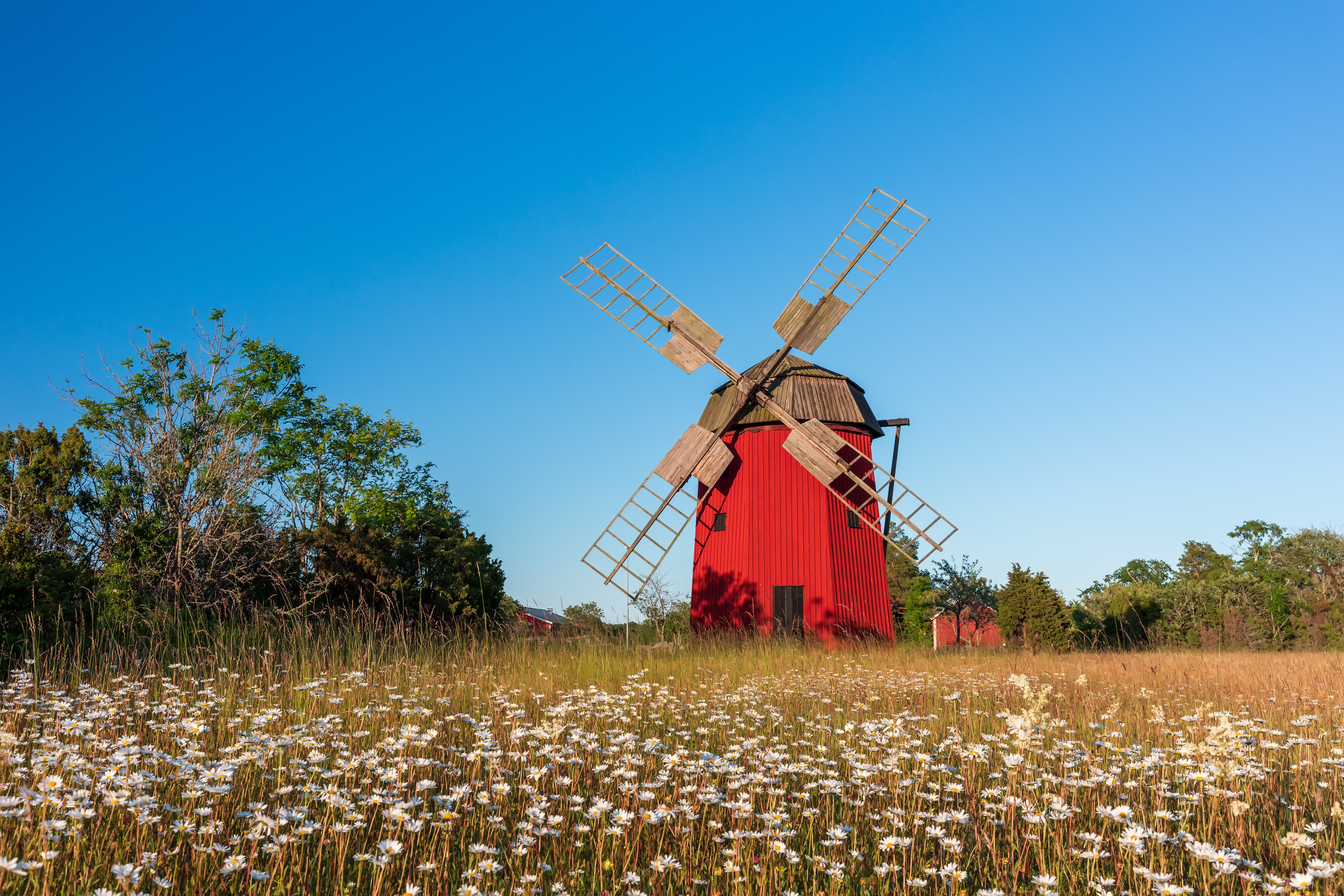 Rote Windmühle im Abendlicht bei Munketorp an der Ostküste Öl