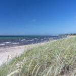 Strand bei Tofta-Gnisvärd auf Gotland, Gotlands län