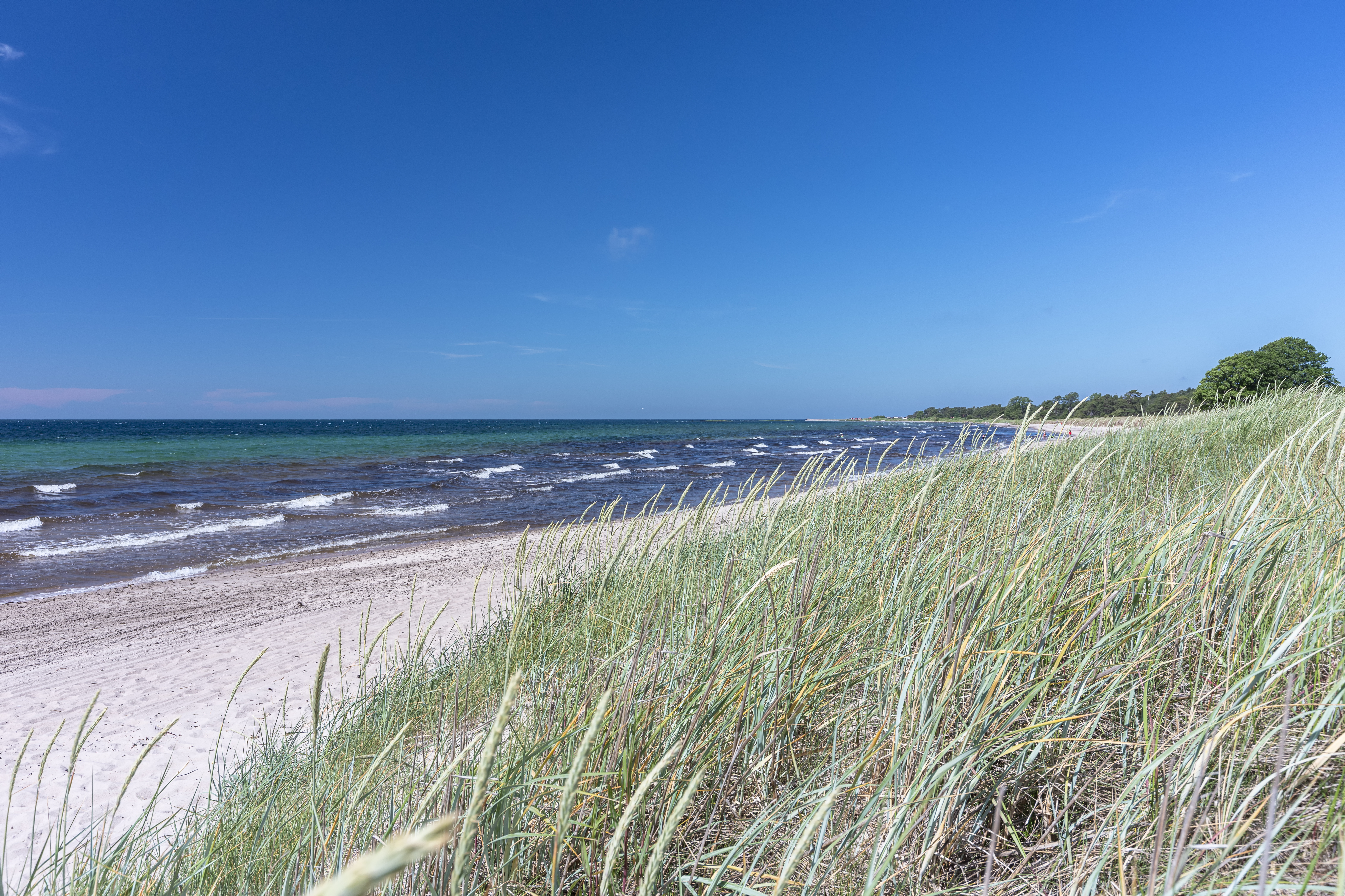 Strand bei Tofta-Gnisvärd auf Gotland, Gotlands län