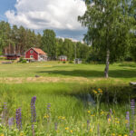 Ländliche Idylle im Dorf Lövriset, Gävleborgs län