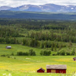 Blick aufs Harjångsfjäll bei Mattmar, Jämtlands län