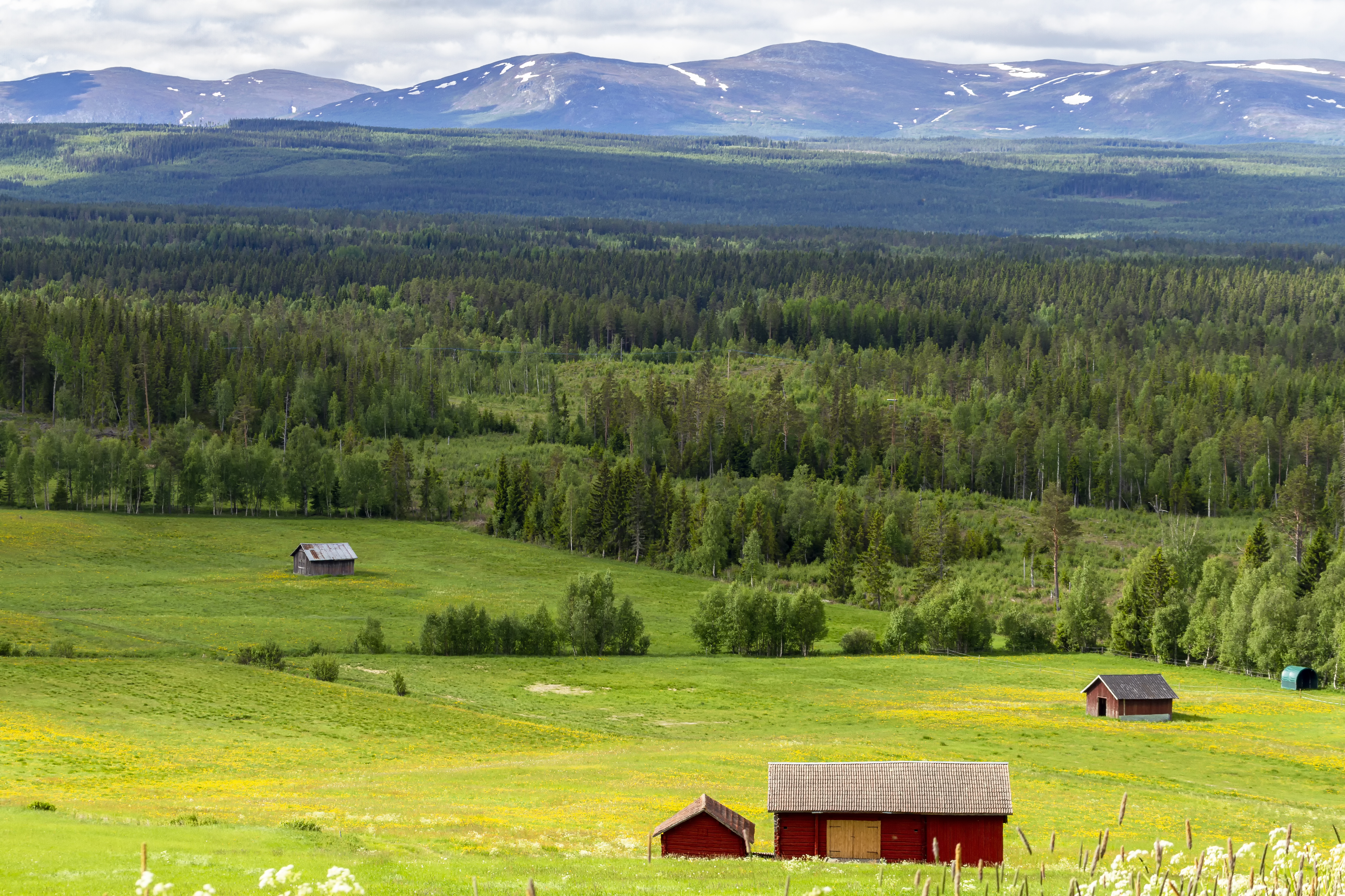 Blick aufs Harjångsfjäll bei Mattmar, Jämtlands län