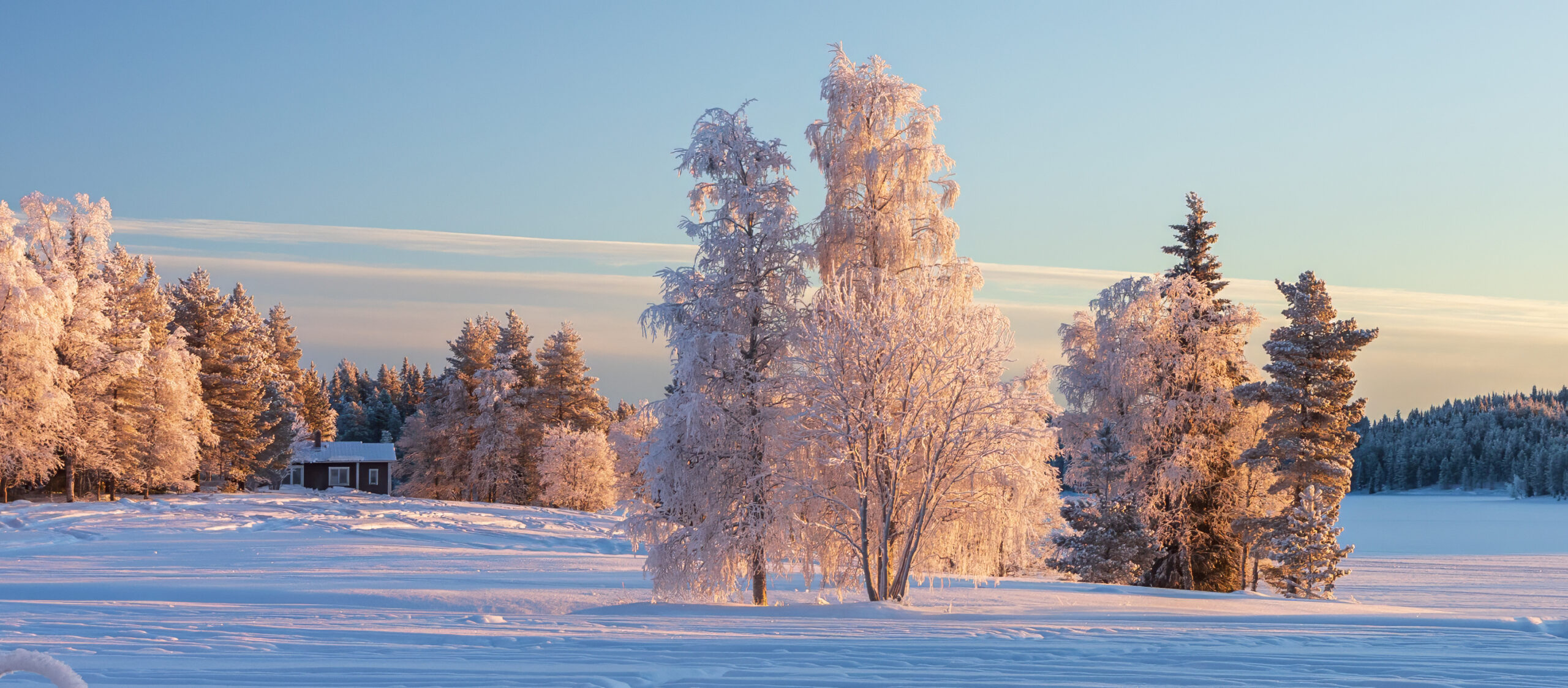 _MG_4899_Startslider